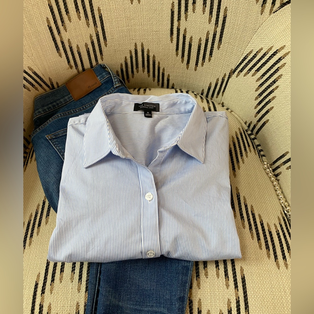 The Limited blue and white stripe button down.